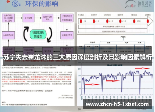 苏宁失去崔龙洙的三大原因深度剖析及其影响因素解析