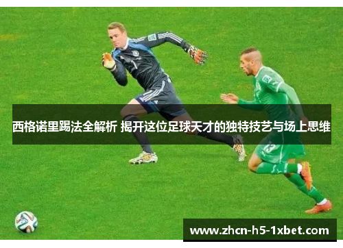 西格诺里踢法全解析 揭开这位足球天才的独特技艺与场上思维