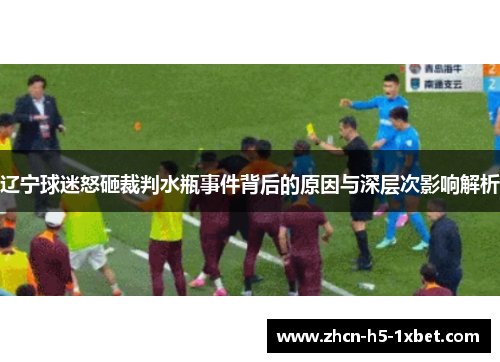 辽宁球迷怒砸裁判水瓶事件背后的原因与深层次影响解析 辽宁球迷怒砸裁判水瓶事件背后的原因与深层次影响解析