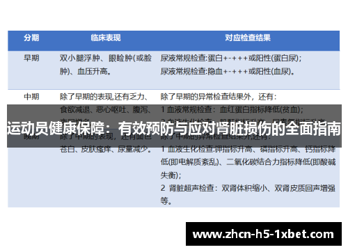 运动员健康保障:有效预防与应对肾脏损伤的全面指南 运动员健康保障:有效预防与应对肾脏损伤的全面指南