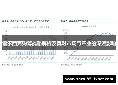 雷尔西克购筹战略解析及其对市场与产业的深远影响 雷尔西克购筹战略解析及其对市场与产业的深远影响