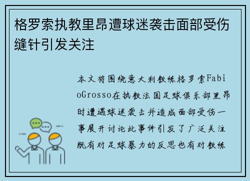 格罗索执教里昂遭球迷袭击面部受伤缝针引发关注